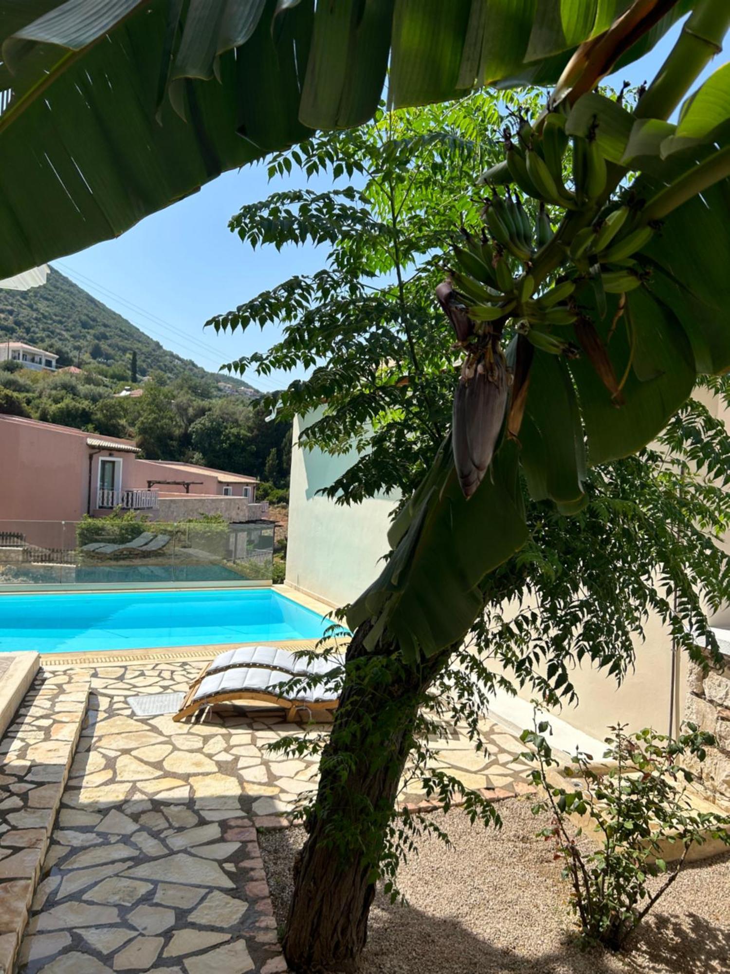 Villa Saint George Nikiana Extérieur photo